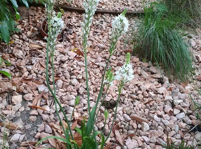 Apartamento Schwartz *